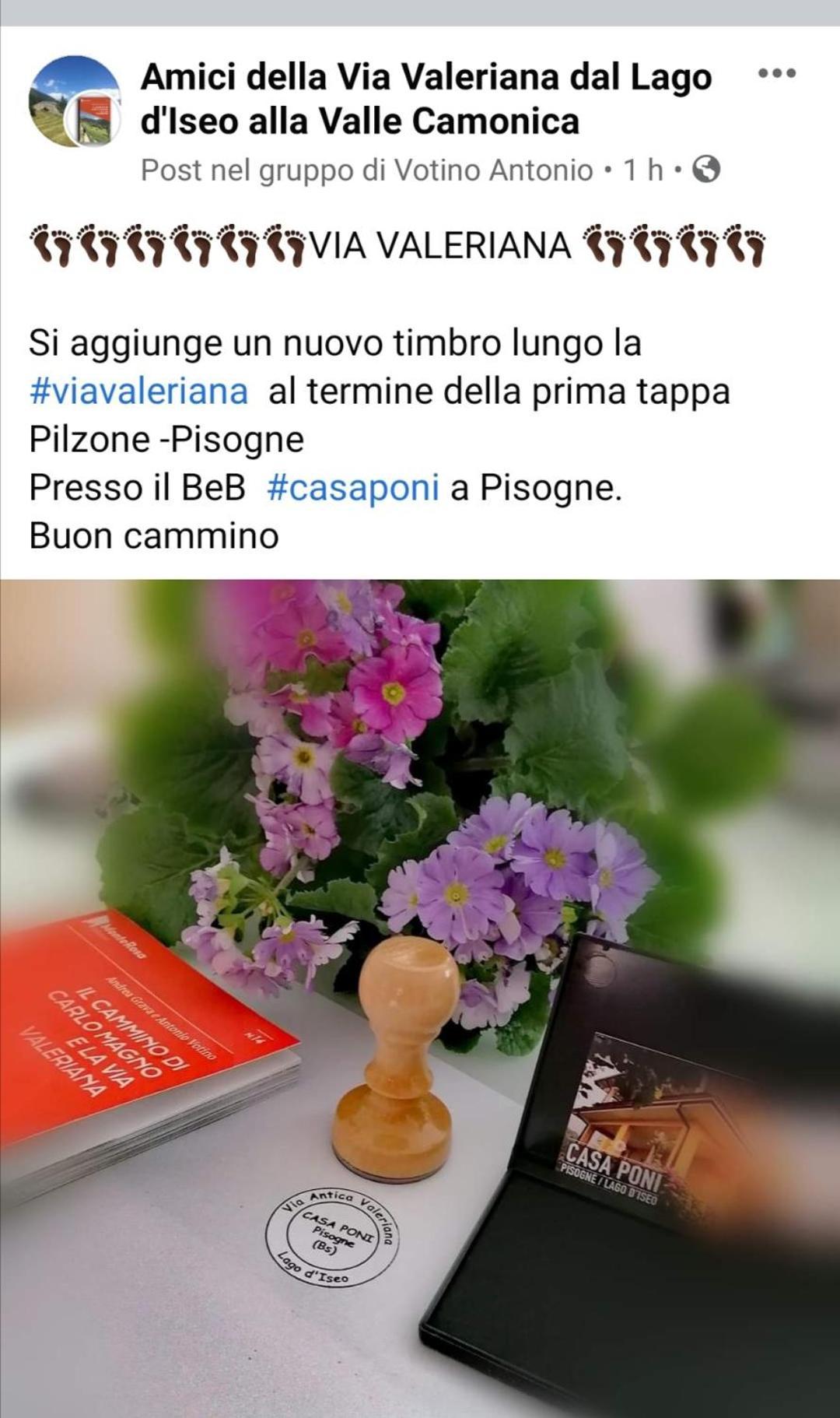Casa Poni Villa Pisogne Rom bilde